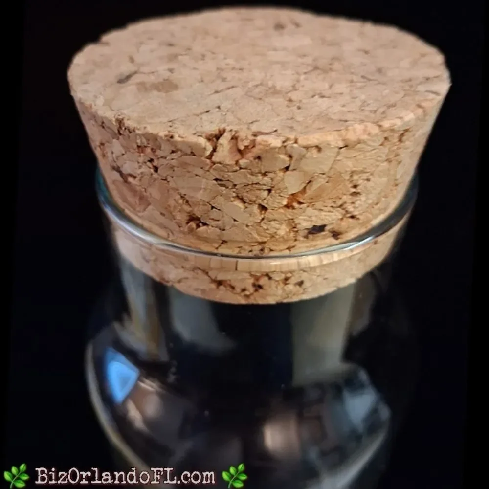 VINTAGE: Clear Tall Glass Cylinder Bottle Terrarium With Cork Stopper